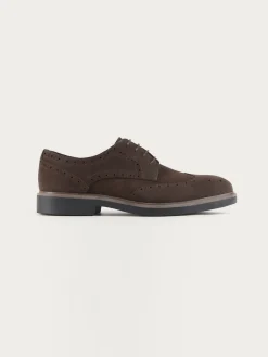 BLUCHER PICADO MARRÓN-Alvaro Moreno Outlet