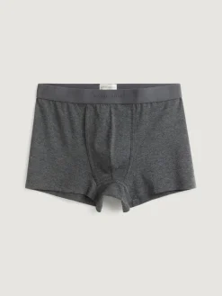 BOXER BASIC-Alvaro Moreno New