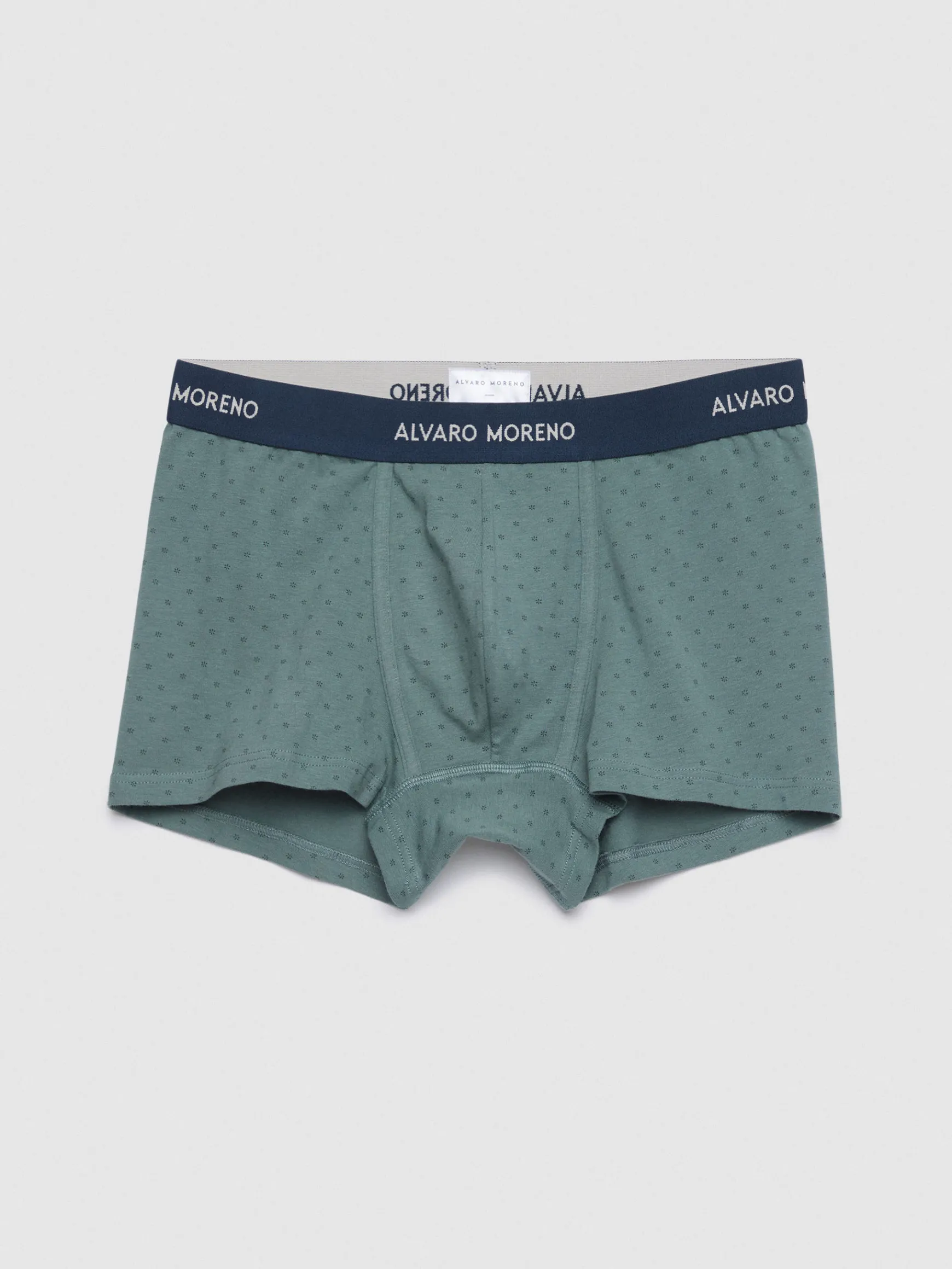 BOXER NATURE-Alvaro Moreno
