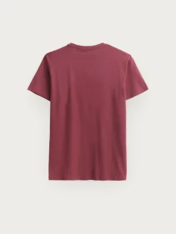 CAMISETA BASICA-Alvaro Moreno Sale