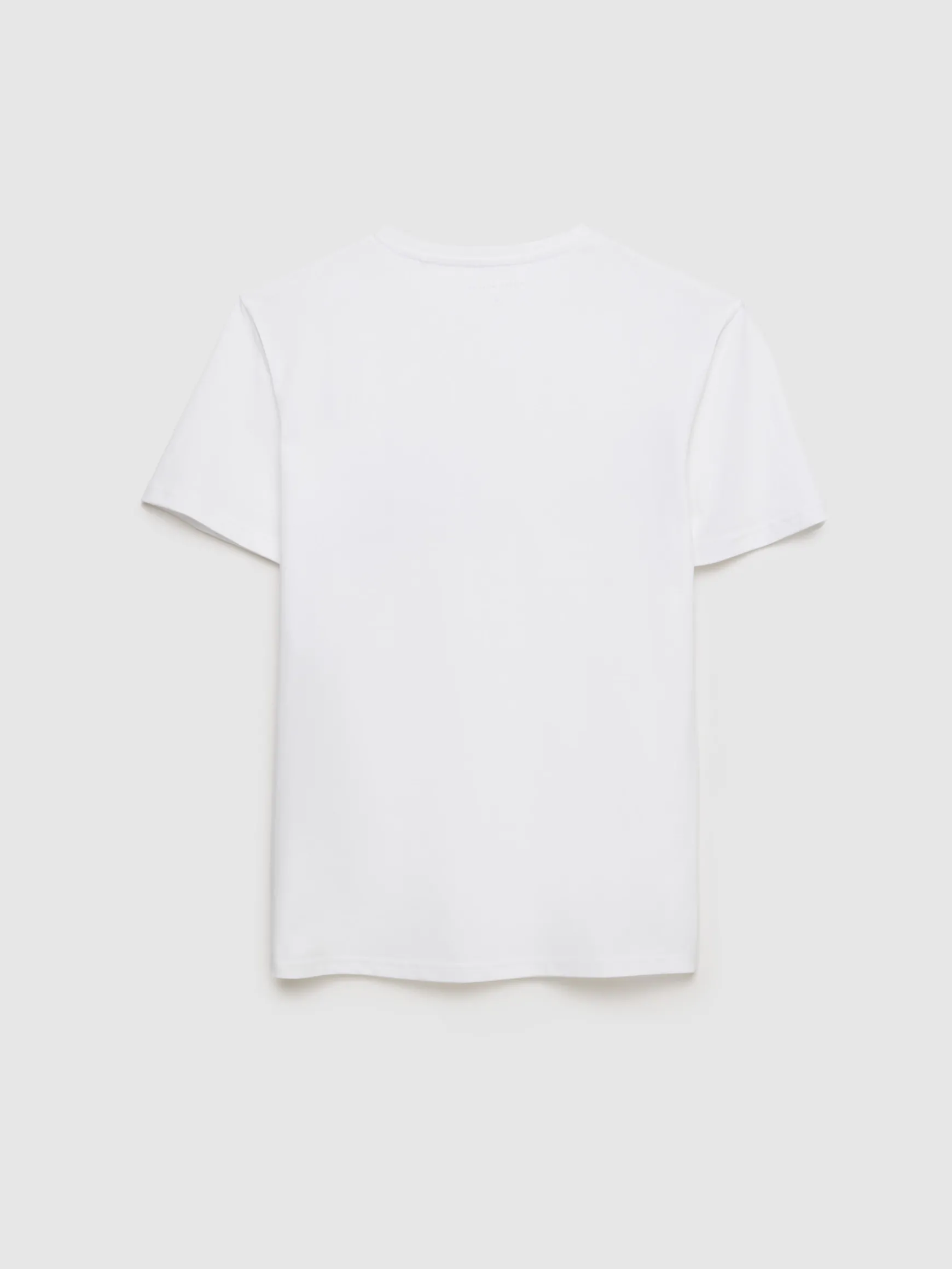 CAMISETA MOTORCYCLE-Alvaro Moreno Online