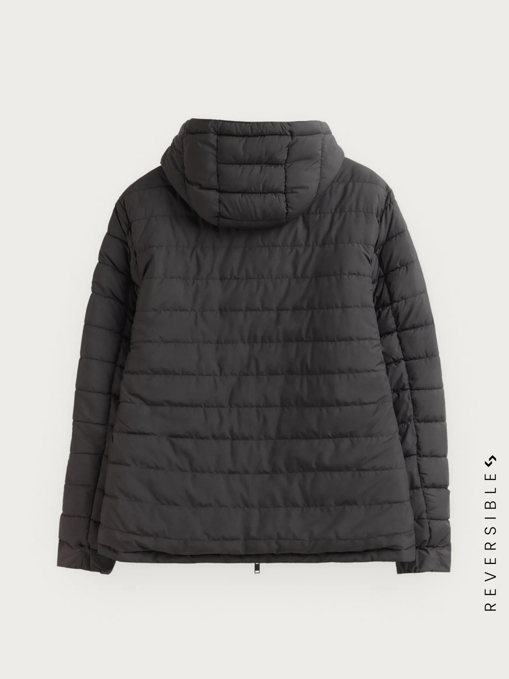 CAZADORA RATCHED REVERSIBLE | MARRÓN-Alvaro Moreno Discount