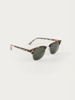GAFAS MASTER MARRÓN-Alvaro Moreno Sale
