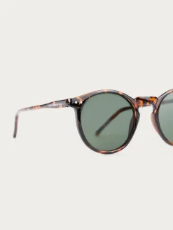 GAFAS ROUNDER MARRÓN-Alvaro Moreno Sale