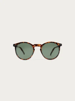 GAFAS ROUNDER MARRÓN-Alvaro Moreno Sale