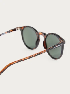GAFAS ROUNDER MARRÓN-Alvaro Moreno Sale