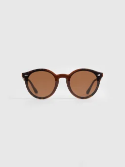 GAFAS SOLEMIO MARRÓN-Alvaro Moreno Online