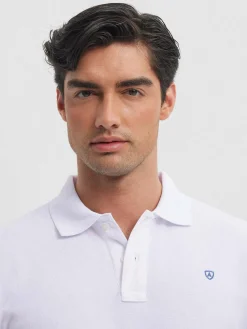 POLO BASIC-Alvaro Moreno Online