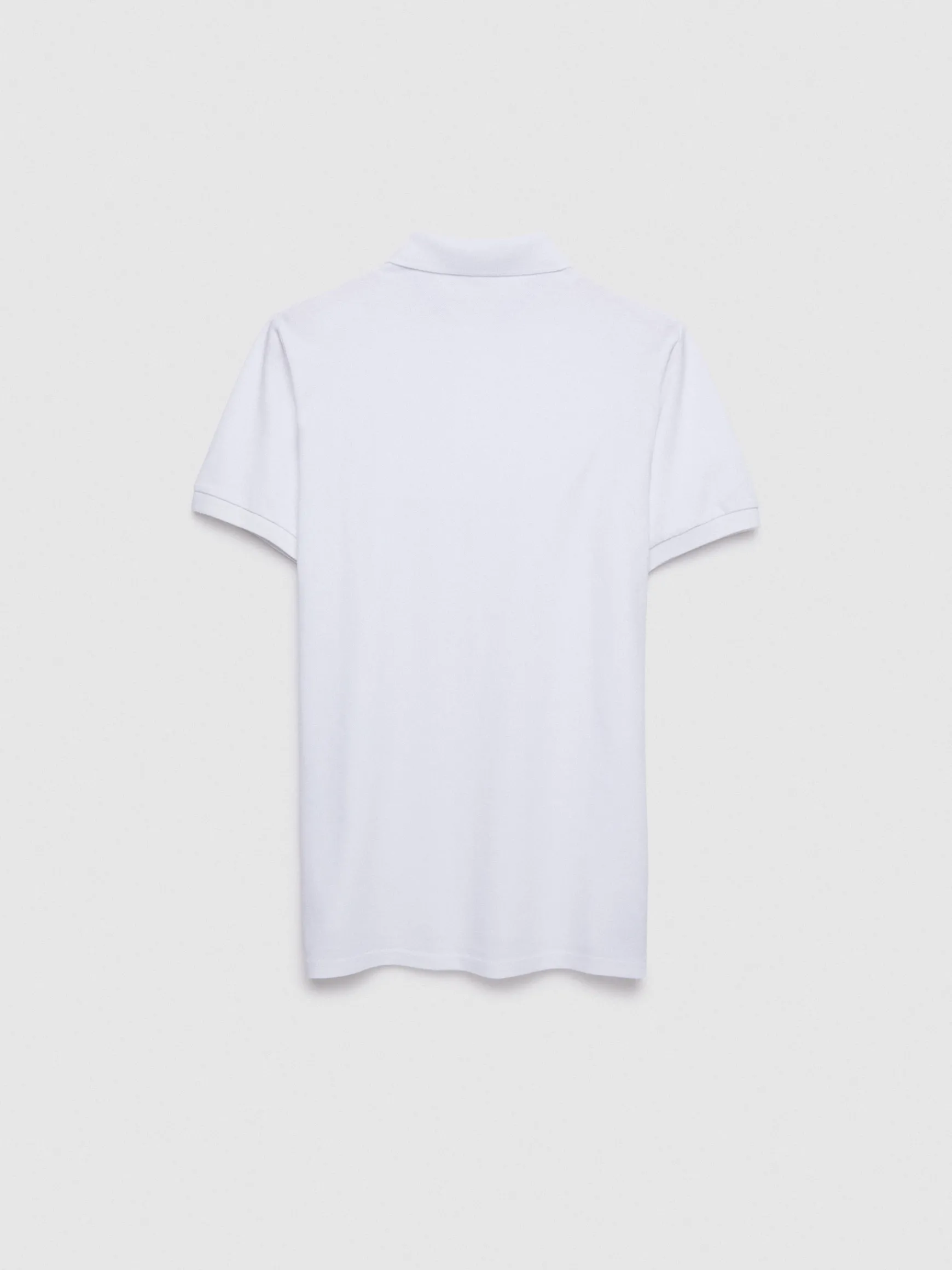 POLO BASIC-Alvaro Moreno Online