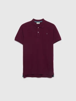POLO BASIC-Alvaro Moreno Best