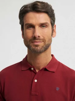 POLO BASIC-Alvaro Moreno Discount