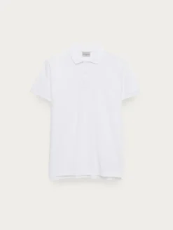 POLO SCOOBY-Alvaro Moreno Sale