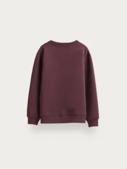 SUDADERA BASICA KIDS-Alvaro Moreno New