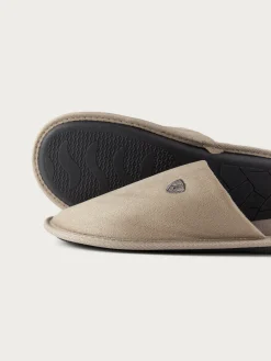 ZAPATILLAS ANTELINA MARRÓN-Alvaro Moreno Discount